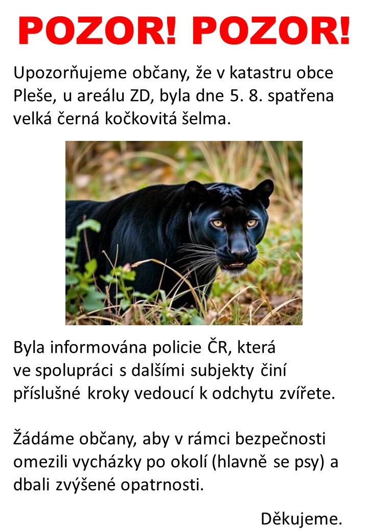 Upozornění na výskyt velké kočkovité šelmy v katastru obce